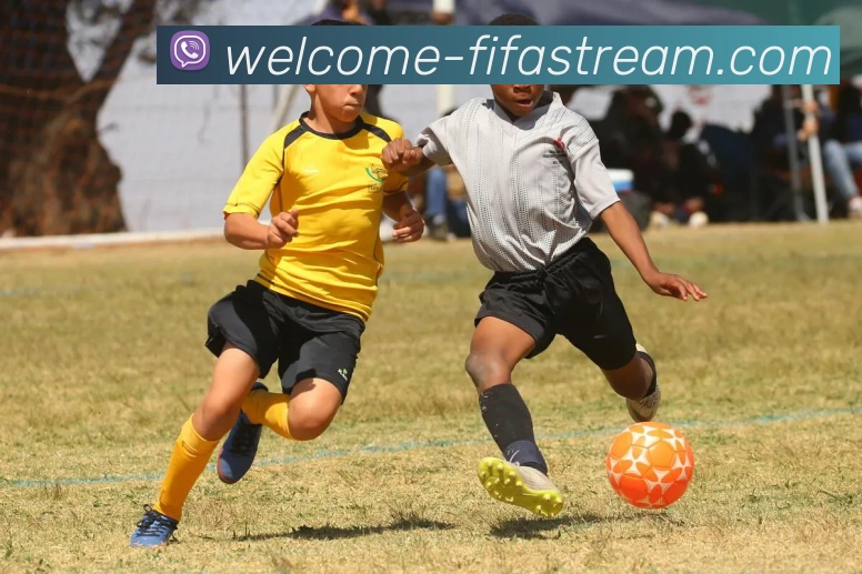 多媒体互动体验